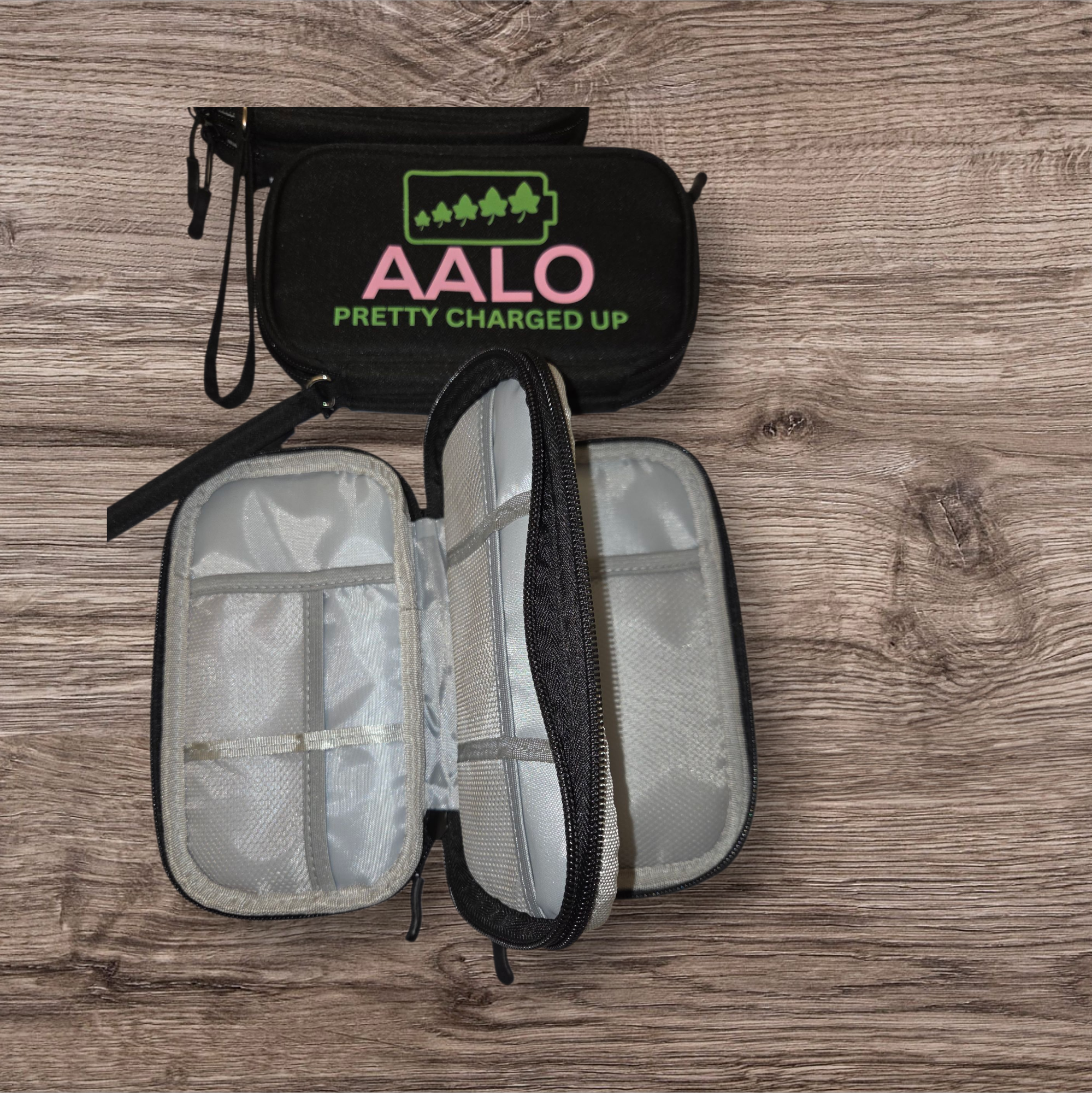 Pretty Charged Up Carrying Case-AALO
