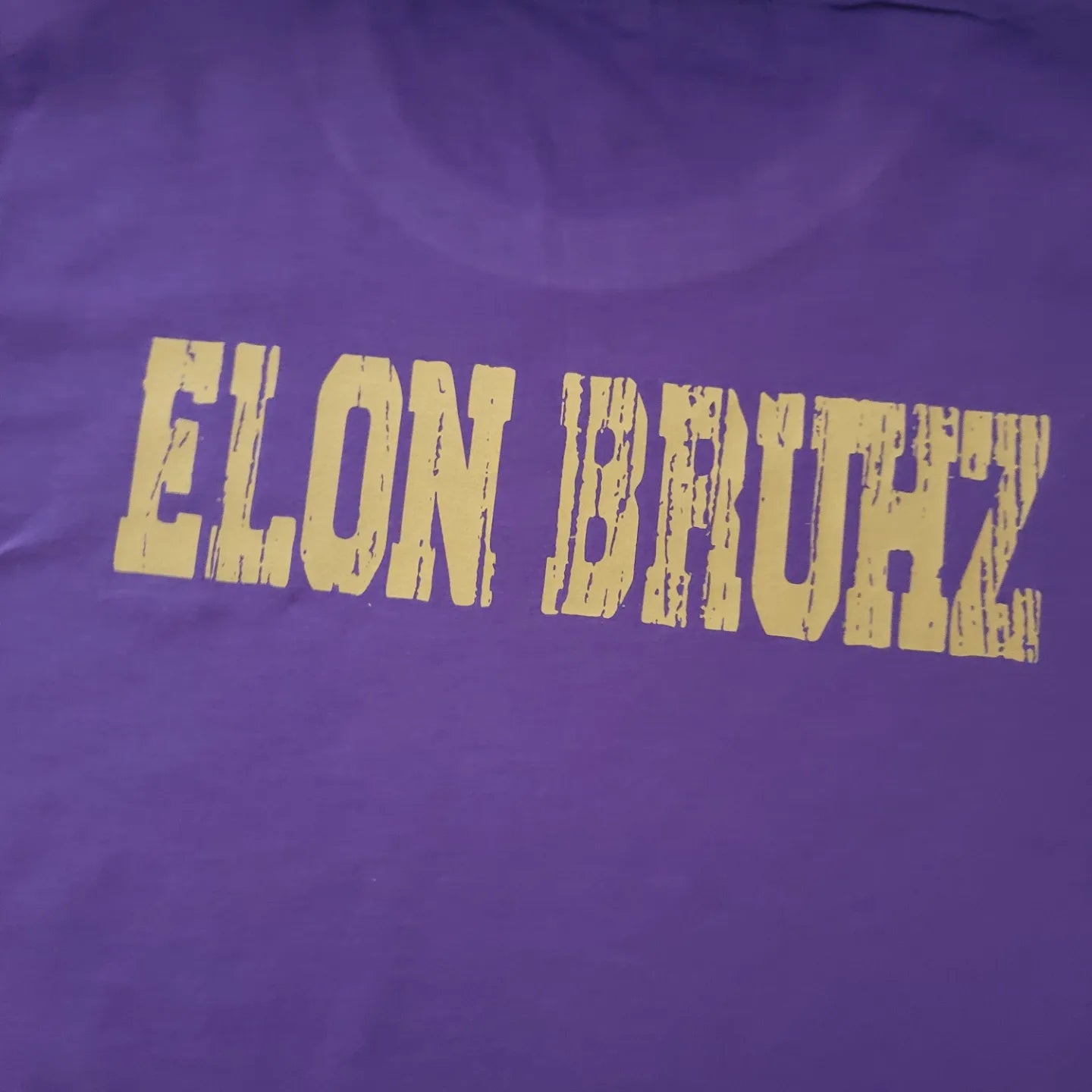 Elon The Bruhz Shirt