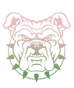 Ombre Pink &Green  Aggie Dog